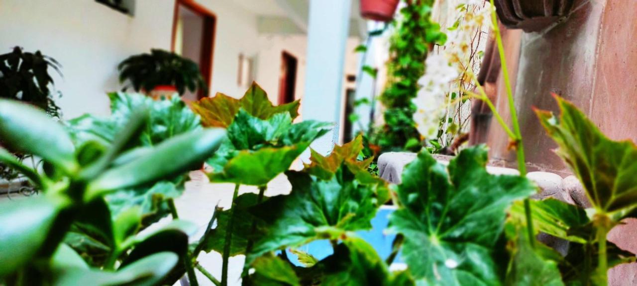 San Juan del Río Hotel Posada Laura المظهر الخارجي الصورة