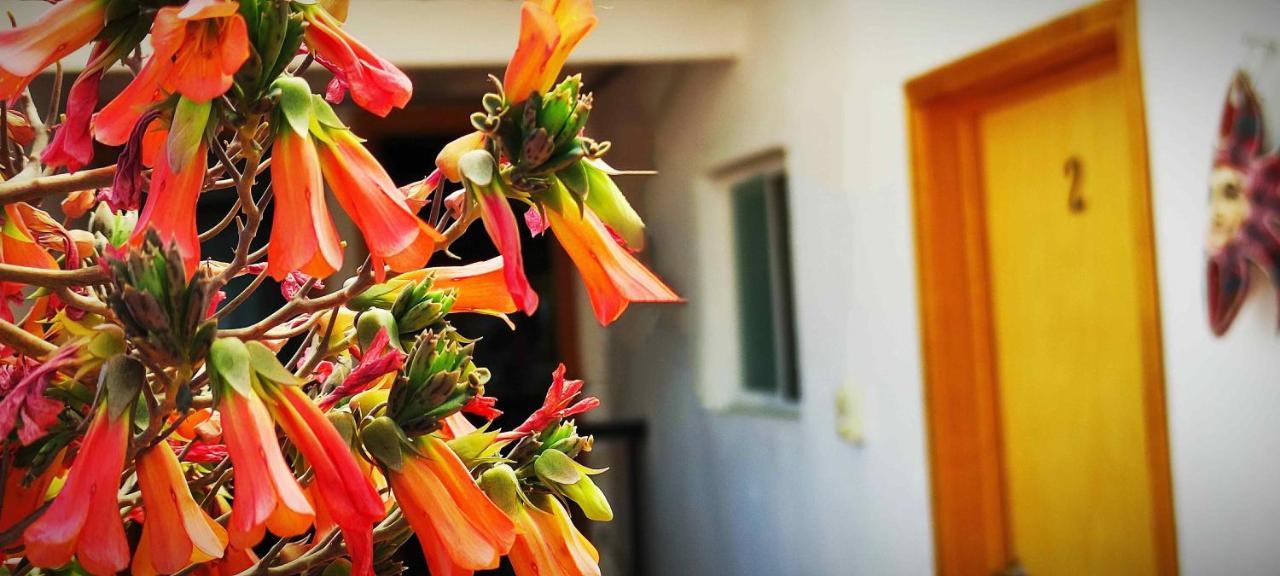 San Juan del Río Hotel Posada Laura المظهر الخارجي الصورة