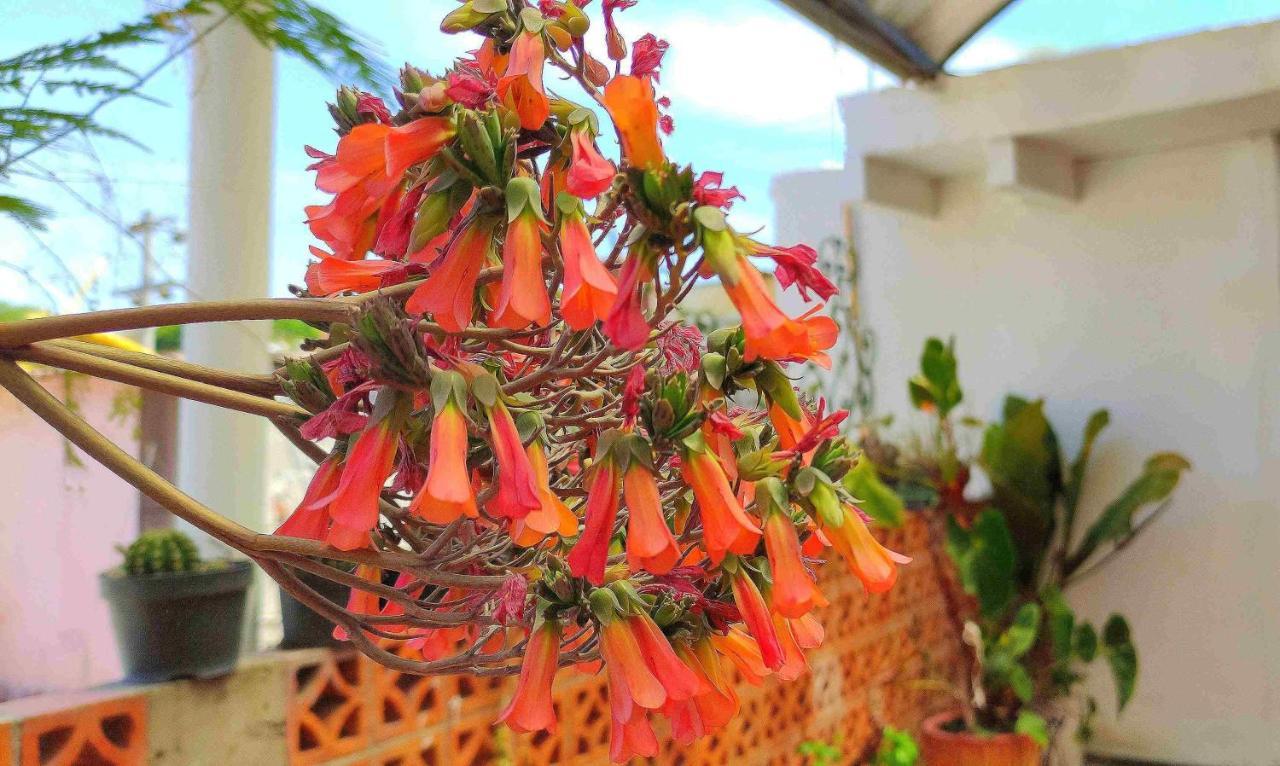 San Juan del Río Hotel Posada Laura المظهر الخارجي الصورة